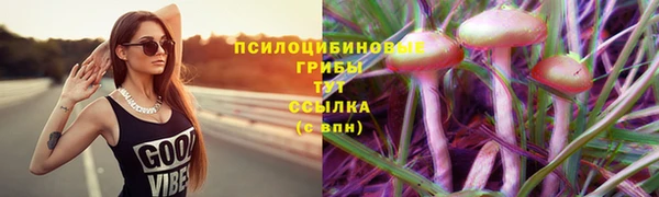 прущая мука Володарск